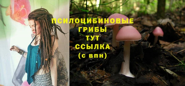 ПСИЛОЦИБИНОВЫЕ ГРИБЫ Куйбышев