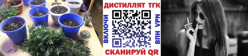 ТГК вейп с тгк  ссылка на мегу онион  Рузаевка 