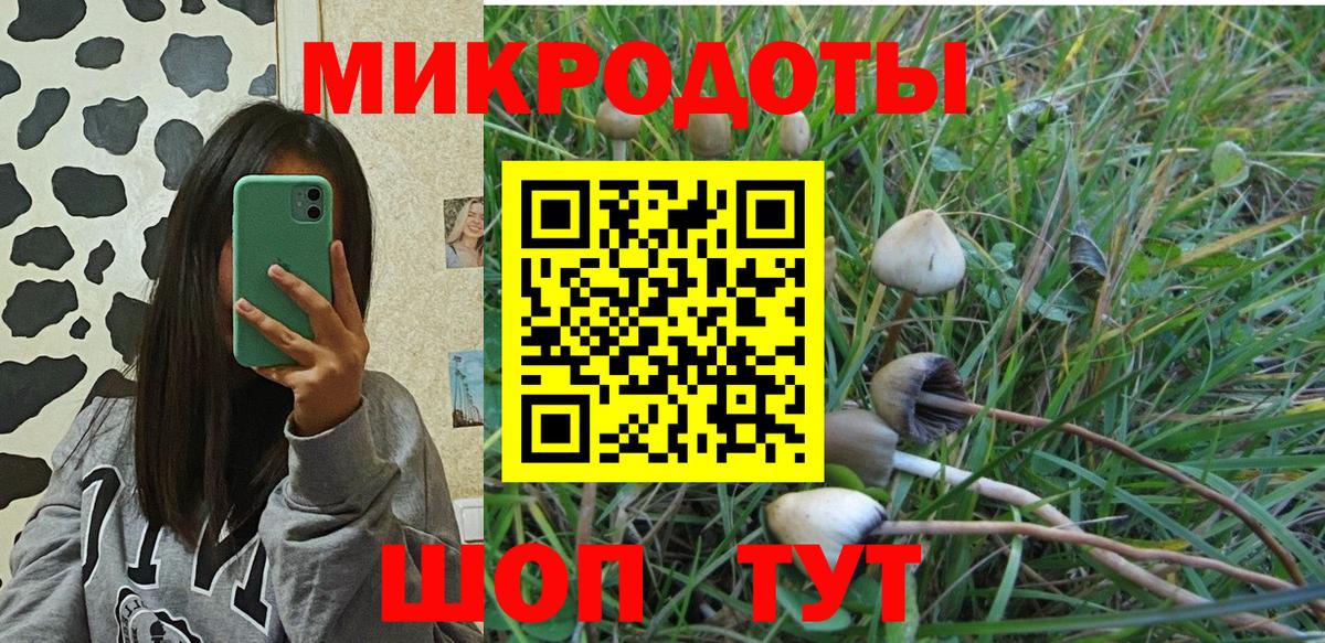 Псилоцибиновые грибы MAGIC MUSHROOMS Рузаевка