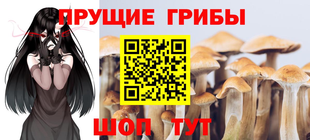 Рузаевка  Галлюциногенные грибы мицелий  Галлюциногенные грибы ЛСД  Вход с VPN 