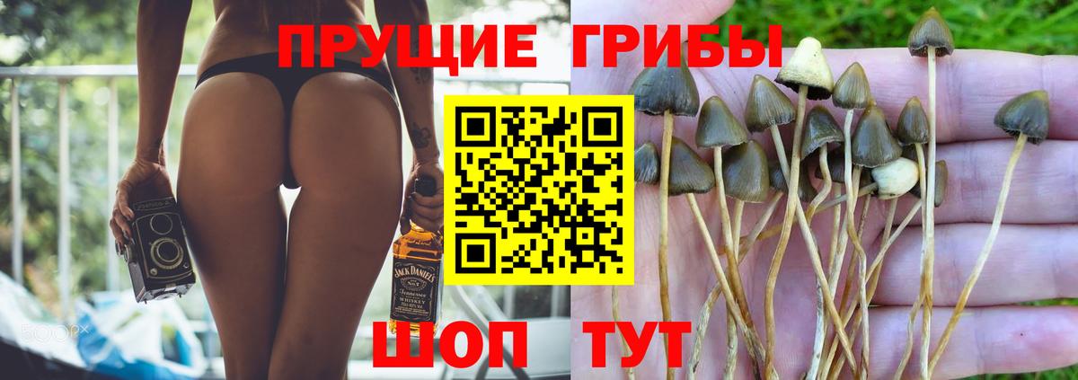 Галлюциногенные грибы прущие грибы Рузаевка